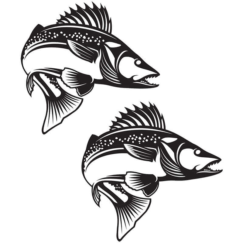 Black and white walleye fish wall decals for enthusiasts, available in customizable sizes.