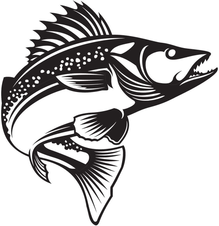 Black and white walleye fish wall decal suitable for home decor