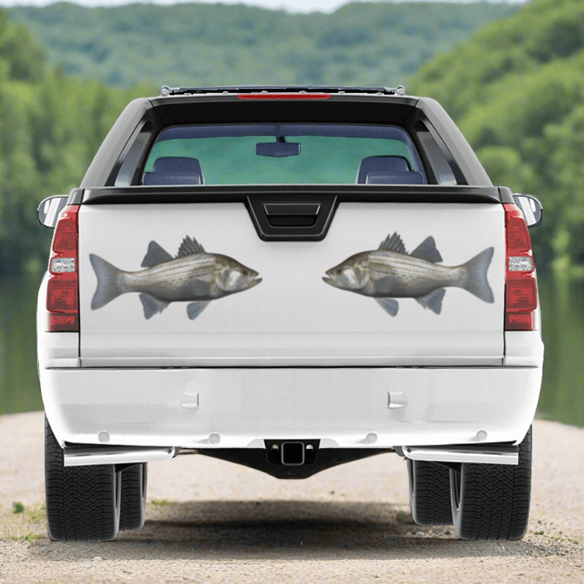 White Bass large decals on a pickup truck by a river.