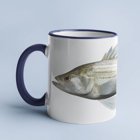 White Bass accent mug with dark blue handle on light blue background.