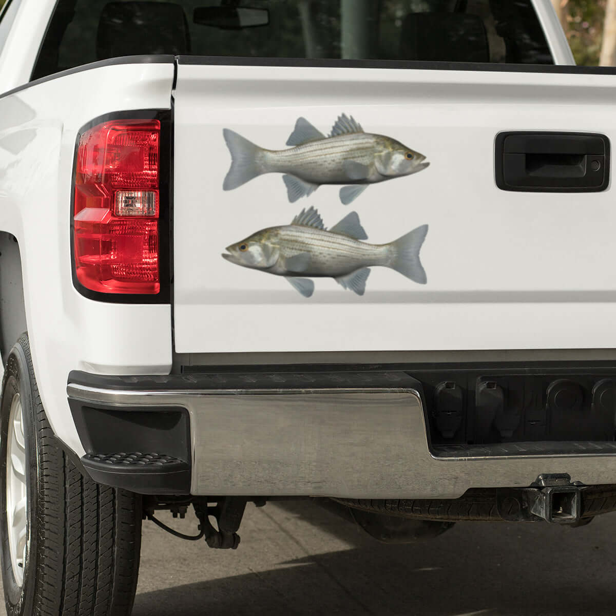 White Bass large decals on a pickup truck.