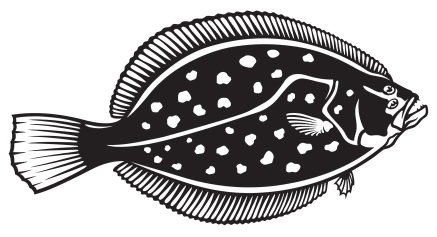 Winter Flounder decals right facing x 2.