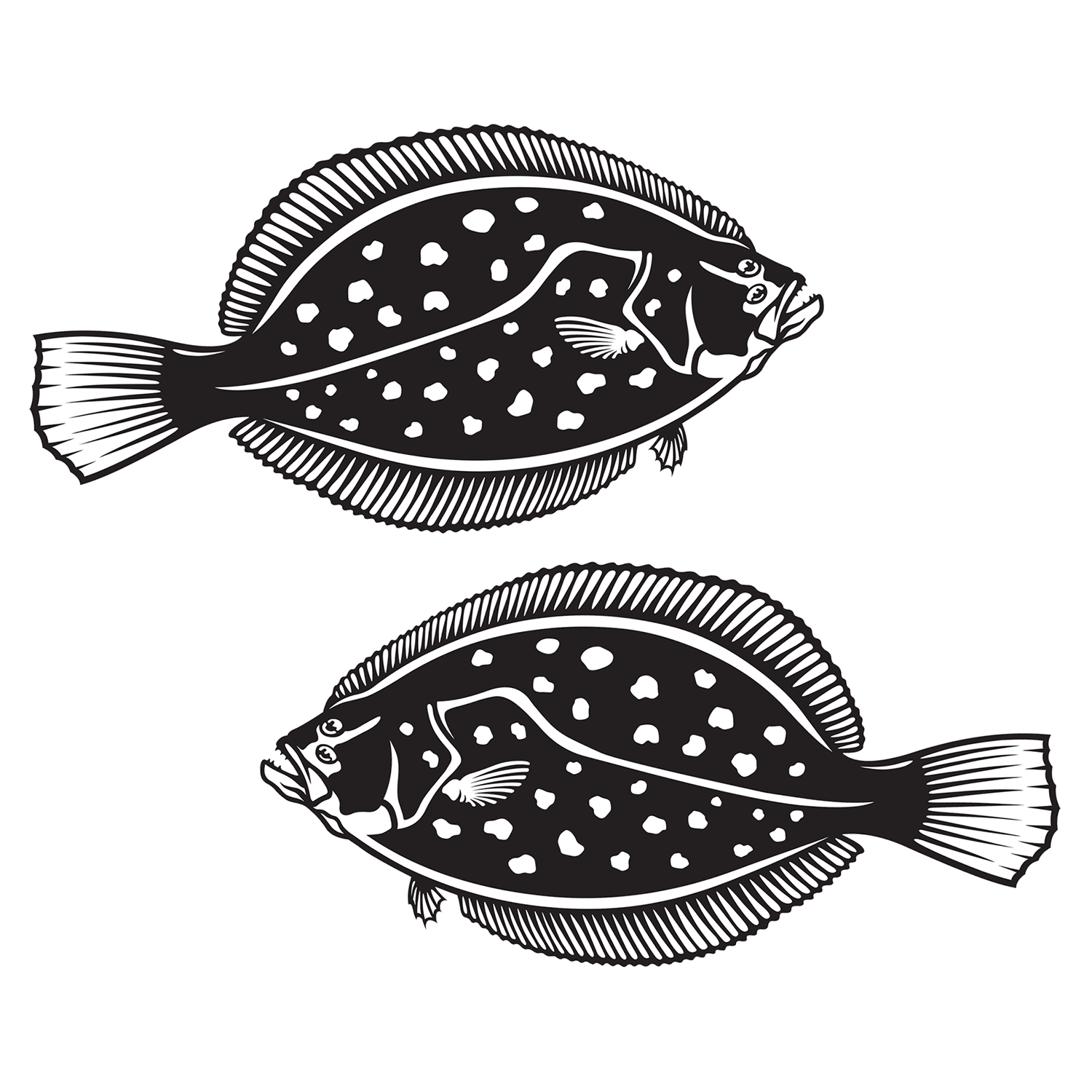 Winter Flounder Decals left and Right facing.