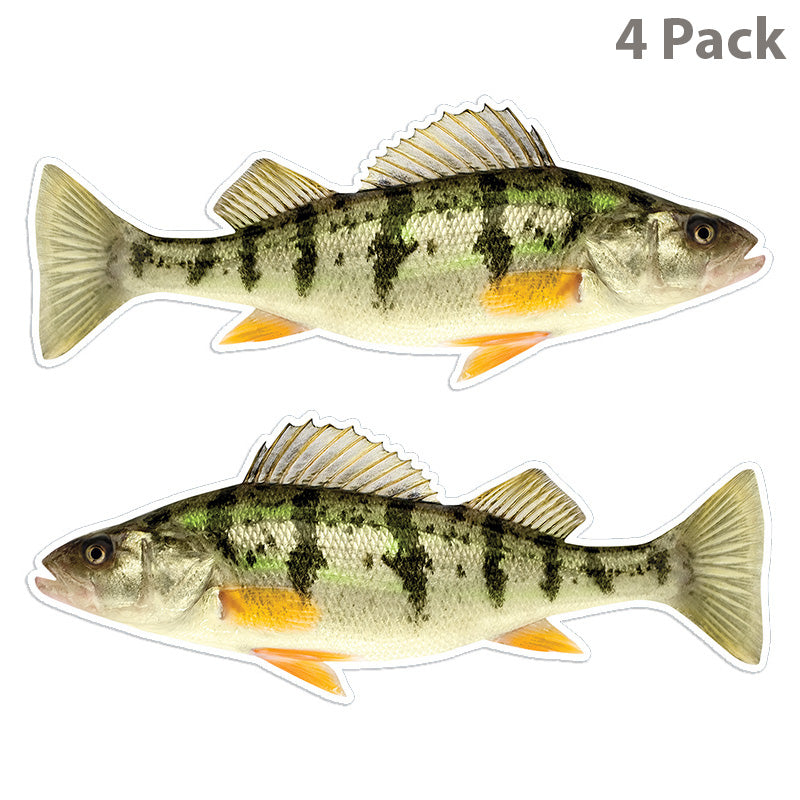 Yellow Perch 14 inch 4 sticker pack.