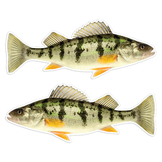 Yellow Perch 14 inch stickers left and right facing.