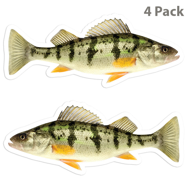 Yellow Perch 5 inch 4 sticker pack.