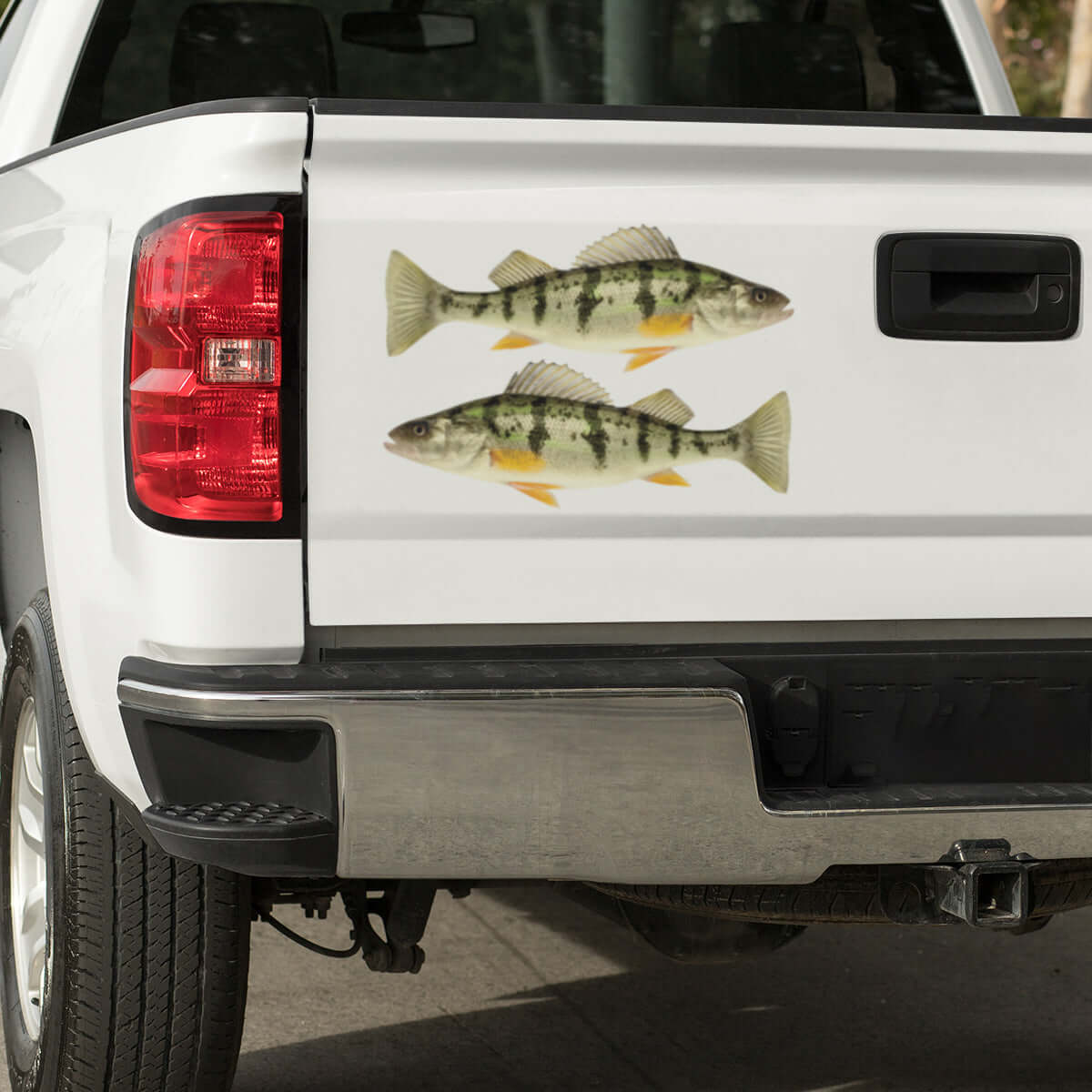 Yellow Perch decals on a pickup truck.