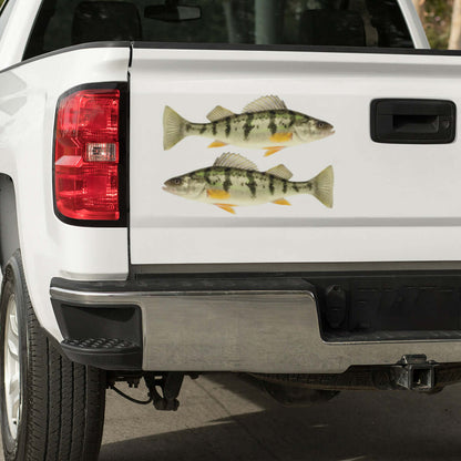 Yellow Perch decals on a pickup truck.