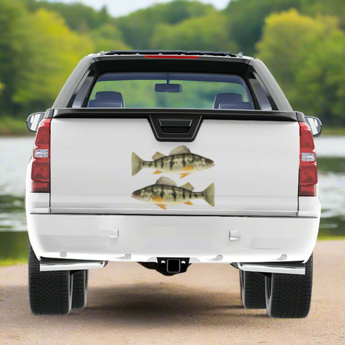 Yellow Perch decals on a pickup truck by a river.