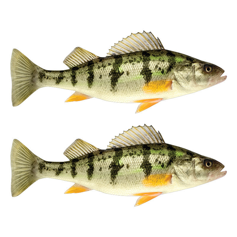 Yellow Perch Decals | 16"-60"