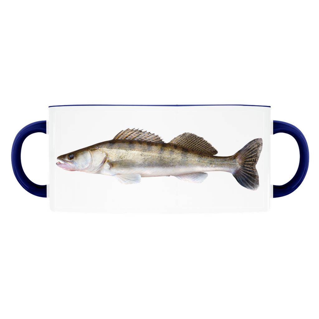 Walleye accent mug with dark blue handle and rim on white background.