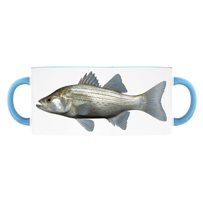 White Bass accent mug with light blue handle and rim on white background.