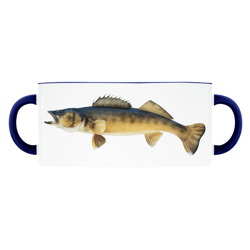 Walleye accent mug with dark blue handle and rim on white background.