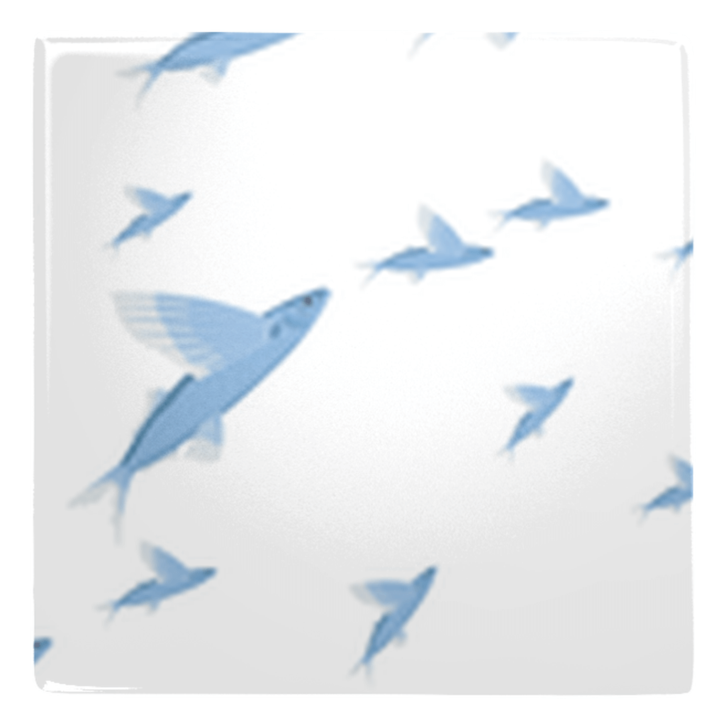 Blue flying fish magnets adding fun to any kitchen décor.