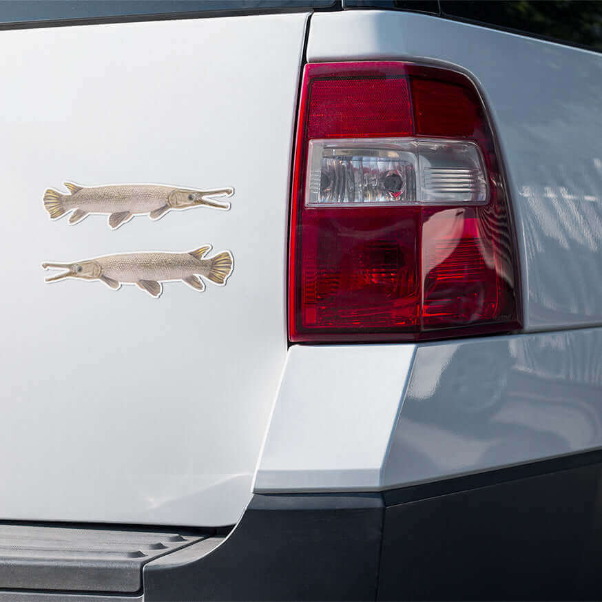 Alligator Gar fish sticker pair on truck tailgate, perfect fishing decals for cars and outdoor use