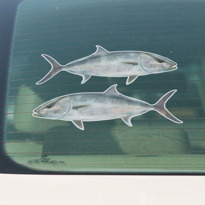 Amberjack Decals