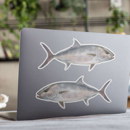 Amberjack fish vinyl stickers on laptop, perfect for anglers, vivid and weather resistant, set of 2 high-resolution designs.