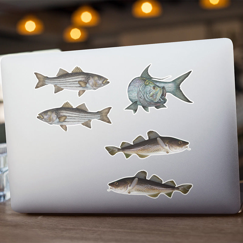Atlantic Cod stickers on a laptop.