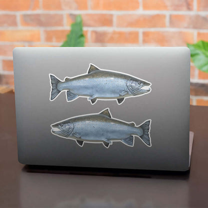 Atlantic Salmon stickers on a laptop.