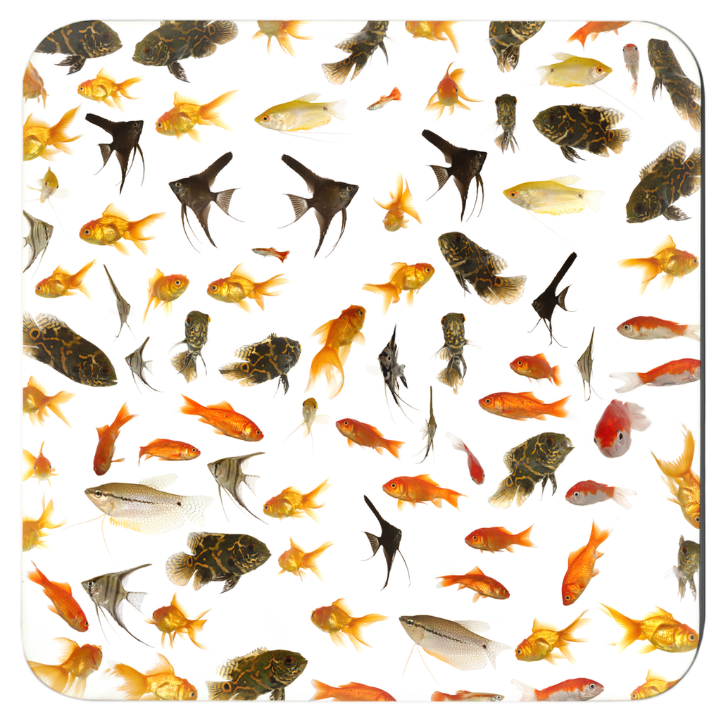 Aquarium Fish | Coasters | Pack of 6