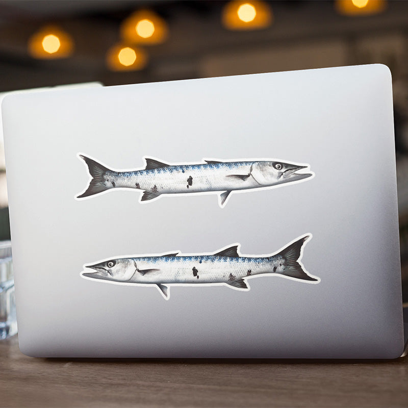 Barracuda stickers on a laptop.