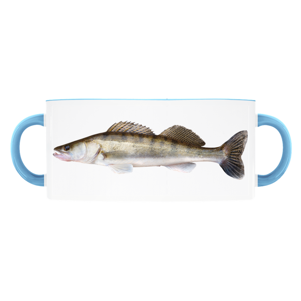 Walleye accent mug with light blue handle and rim on white background.