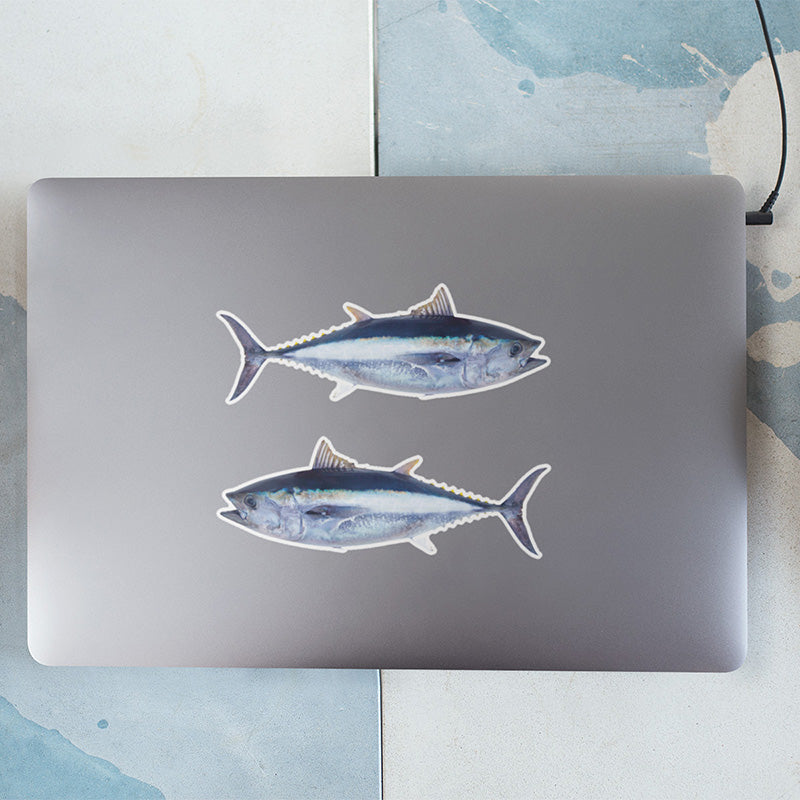 Bluefin Tuna stickers on a laptop.