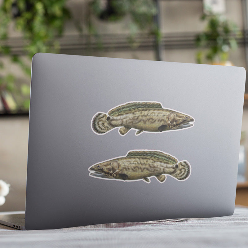 Bowfin stickers on a laptop.