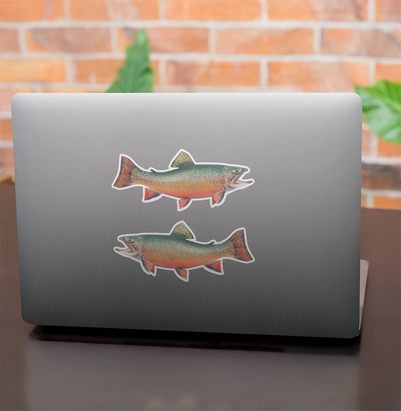 Brook Trout stickers on a laptop.