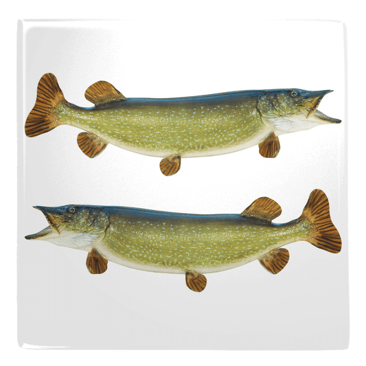 Two lifelike fish shaped magnets from the Freshwater Fish Metal Magnets collection, perfect for fun fridge décor.