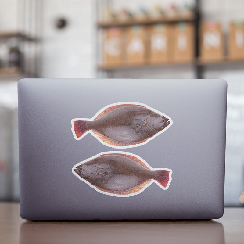 California Halibut stickers on a laptop.