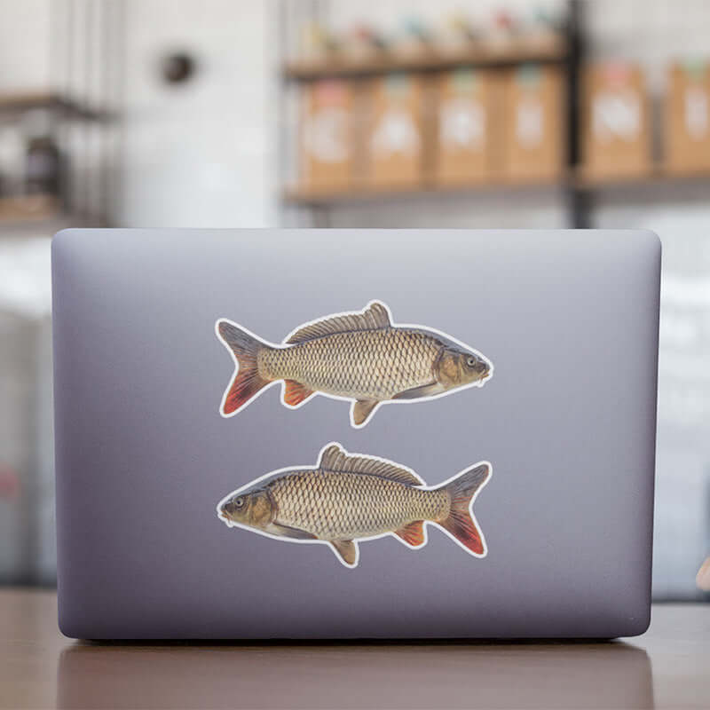 Carp stickers on a laptop.