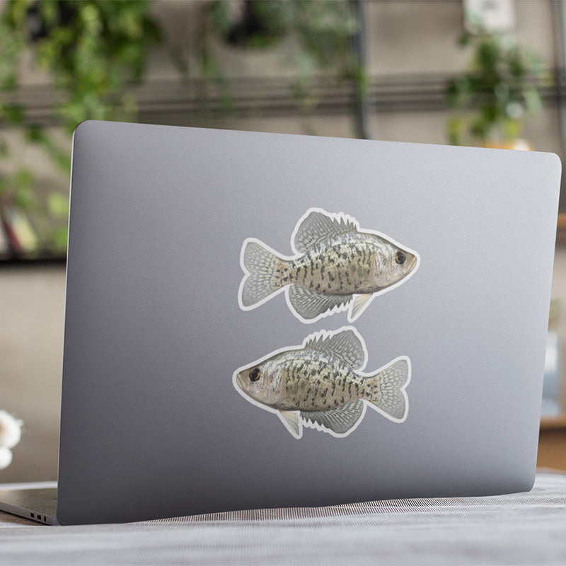 Crappie stickers on a laptop.