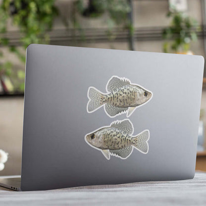 Crappie stickers on a laptop.