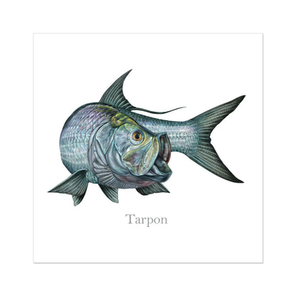 Tarpon | Art Print