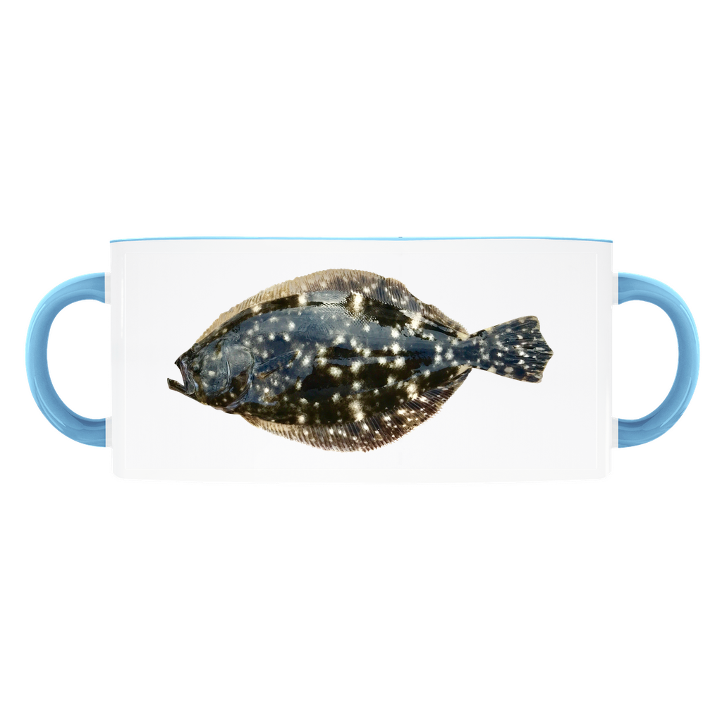 Summer Flounder, Fluke accent mug with light blue handle and rim on white background.