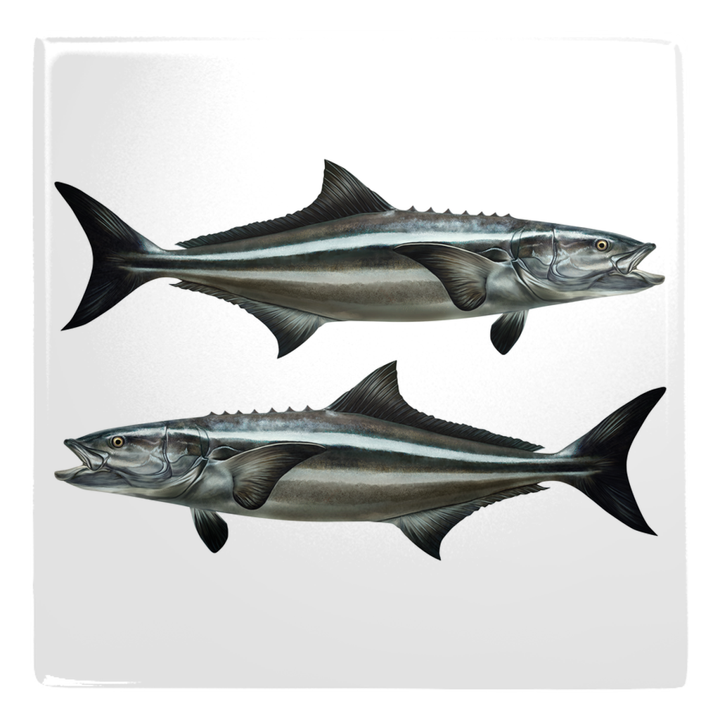 Big game fish metal magnet 3.