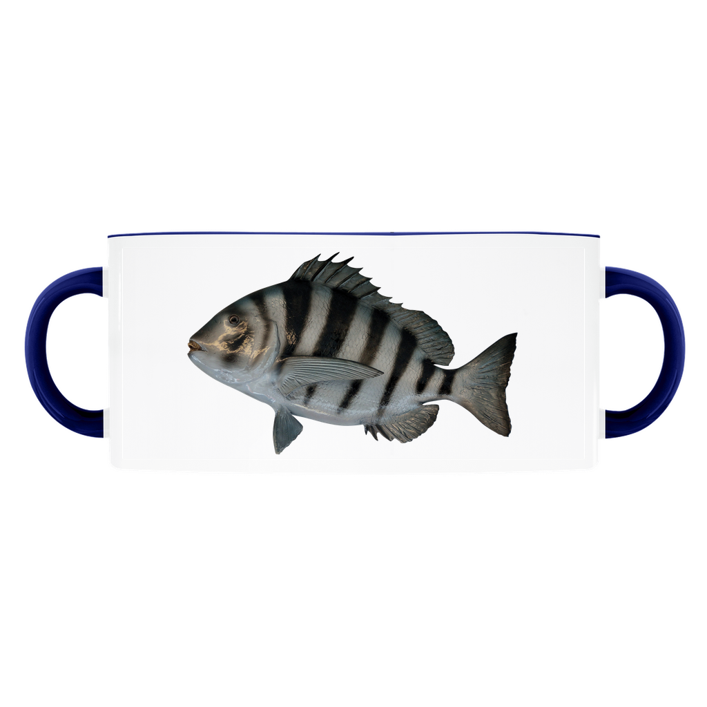 Sheepshead accent mug with dark blue handle and rim on white background.