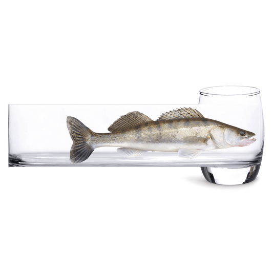 Walleye | Whiskey Glass