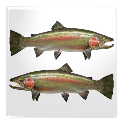 Mixed Trout Metal Magnet 1.