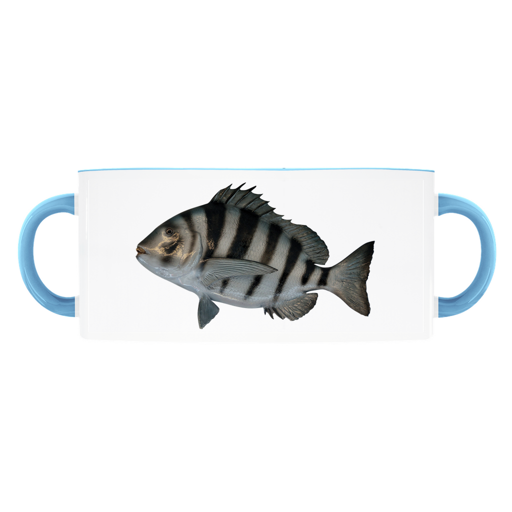 Sheepshead accent mug with light blue handle and rim on white background.