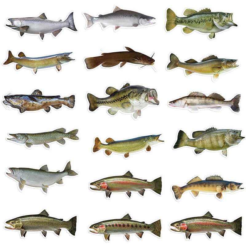Freshwater fish stickers 8 inch 36 pack.