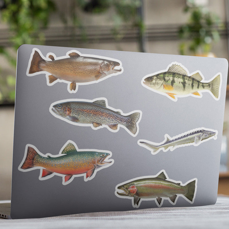 Freshwater fish stickers on a laptop.