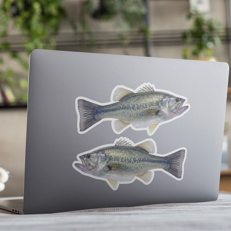 Largemouth Bass stickers on a laptop.