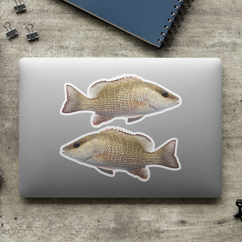 Mangrove Snapper stickers on a laptop.
