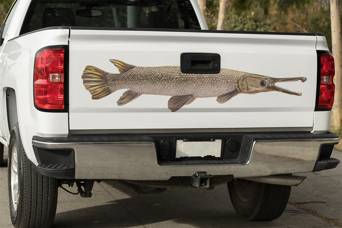 Large Alligator Gar decal on the back of a truck.