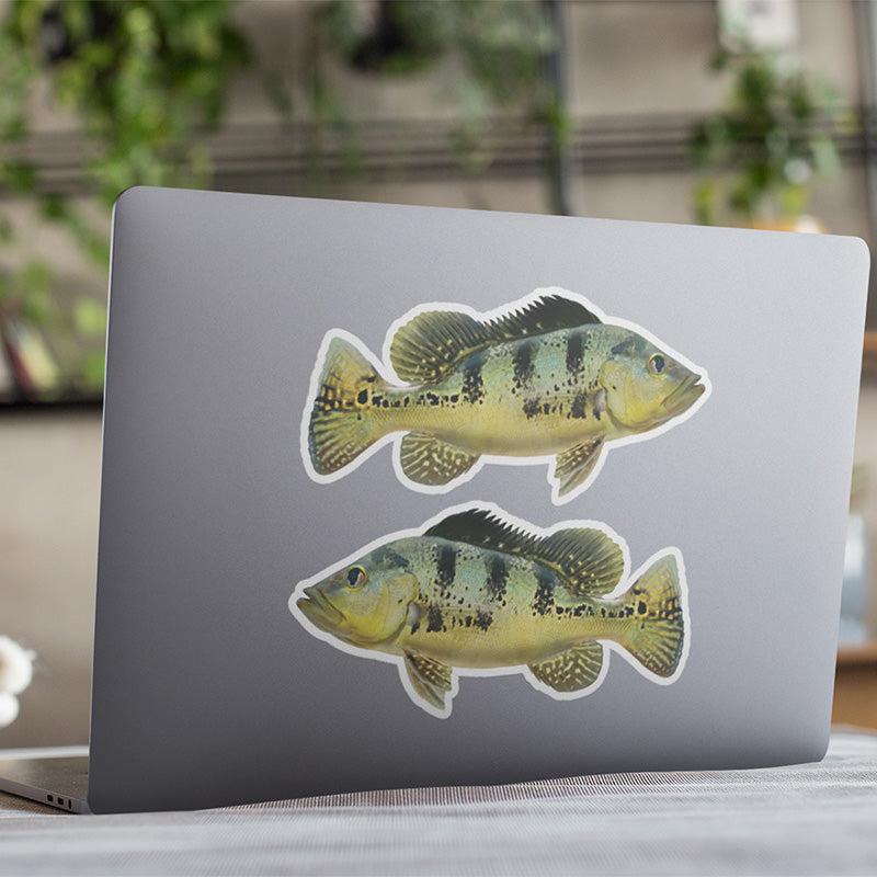 Peacock Bass stickers on a laptop.
