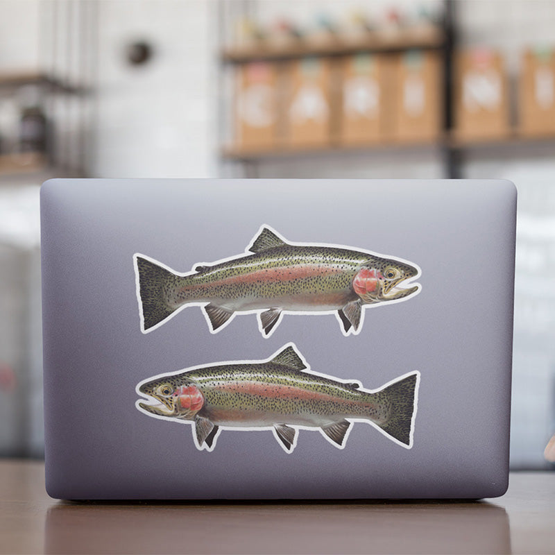 Rainbow Trout stickers on a laptop.