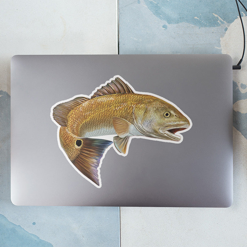 Red Drum, Redfish stickers on a laptop.