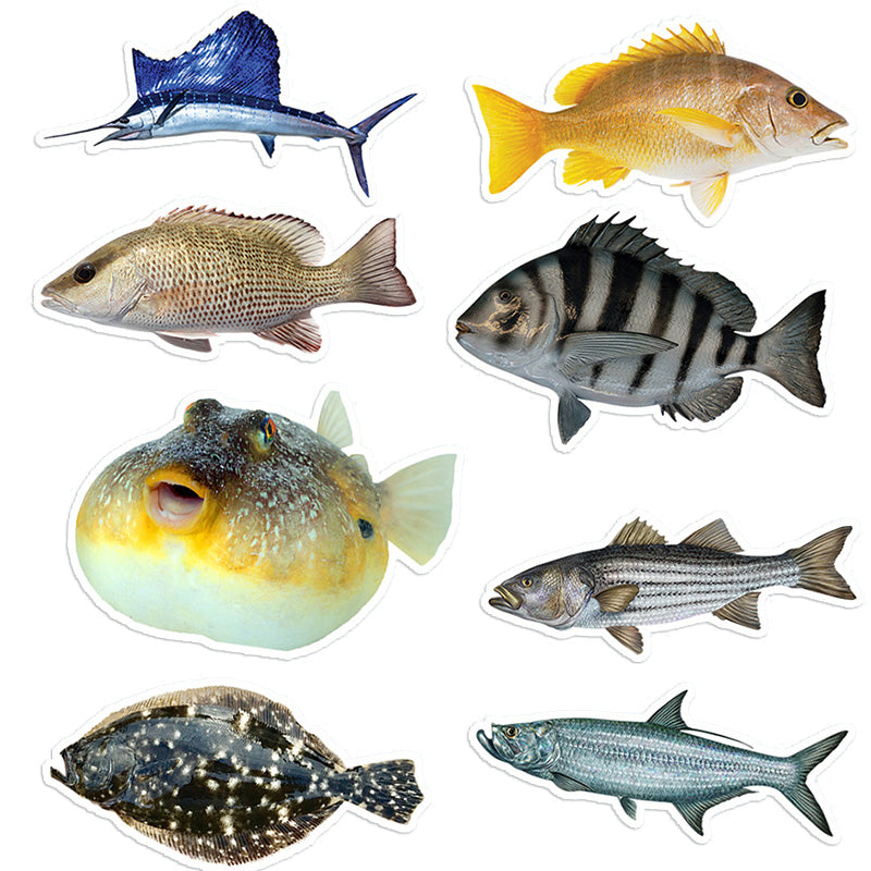 Saltwater mega pack mixed stickers 4.